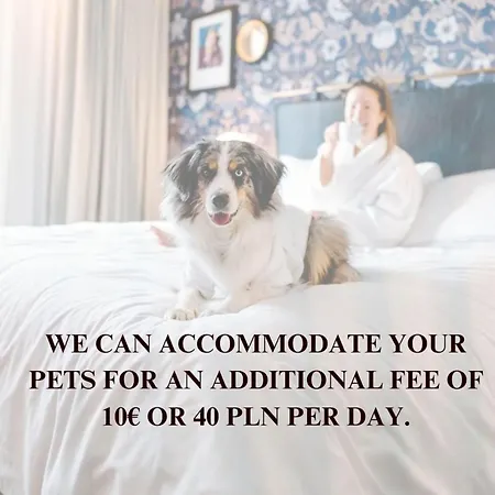 Lumina 2-room Near The Old Town