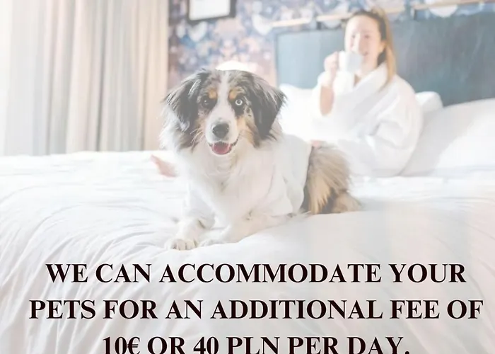 Lumina 2-room Near The Old Town